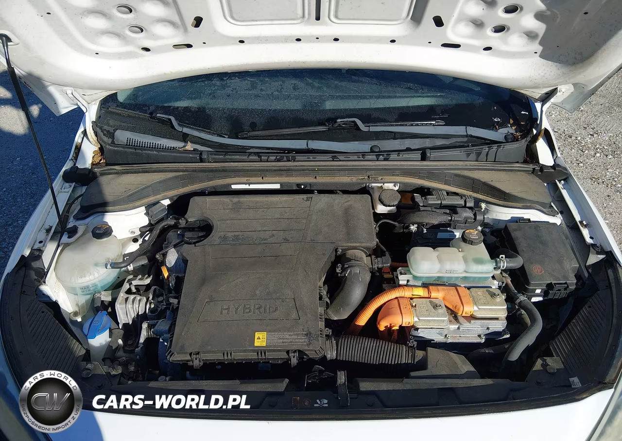 2019 Hyundai Ioniq Hybrid Blue VIN:KMHC65LC5KU158405 - 10