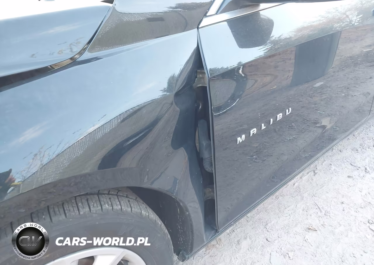 2024 Chevrolet Malibu Fwd 1Lt VIN:1G1ZD5ST6RF119853 - 18
