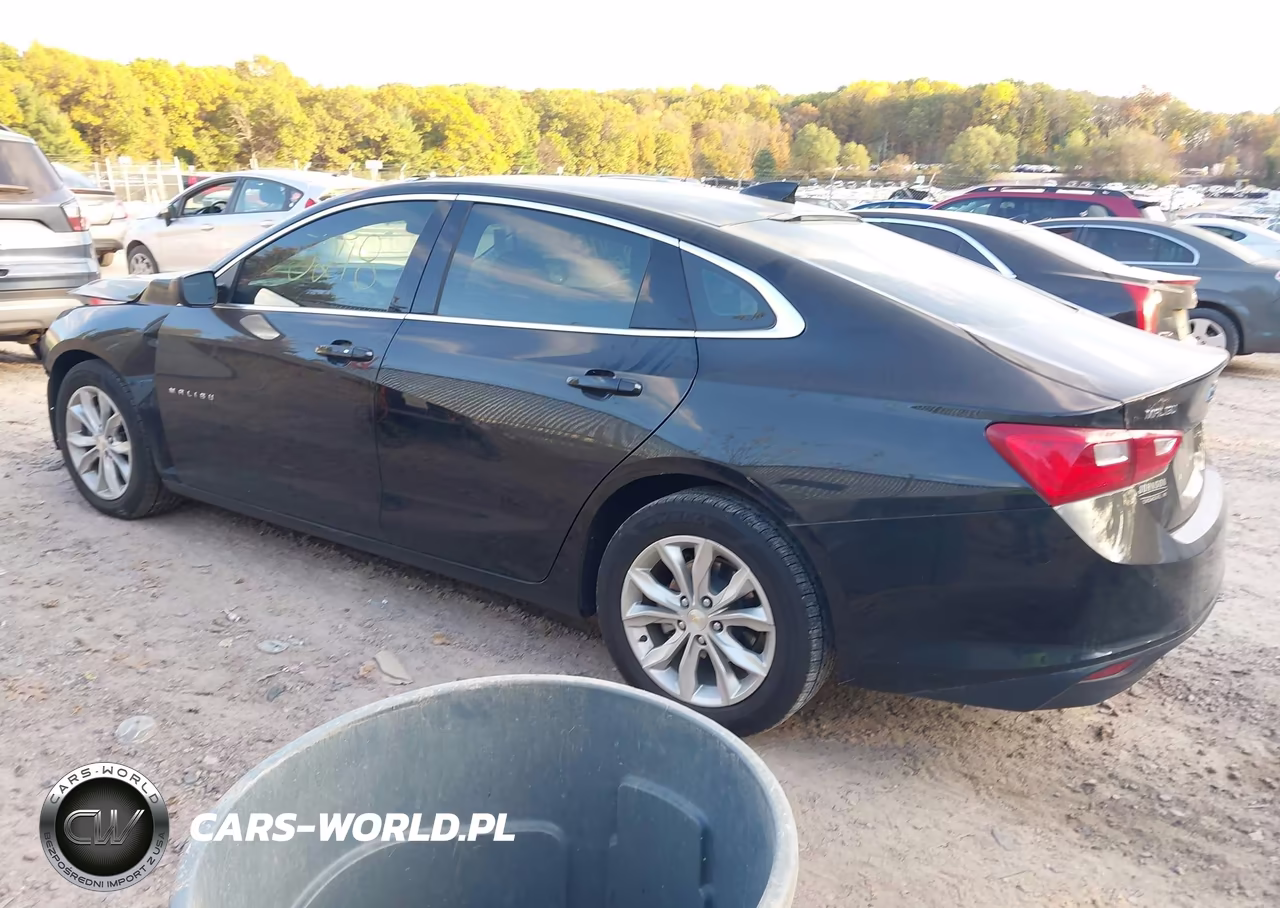 2024 Chevrolet Malibu Fwd 1Lt VIN:1G1ZD5ST6RF119853 - 3