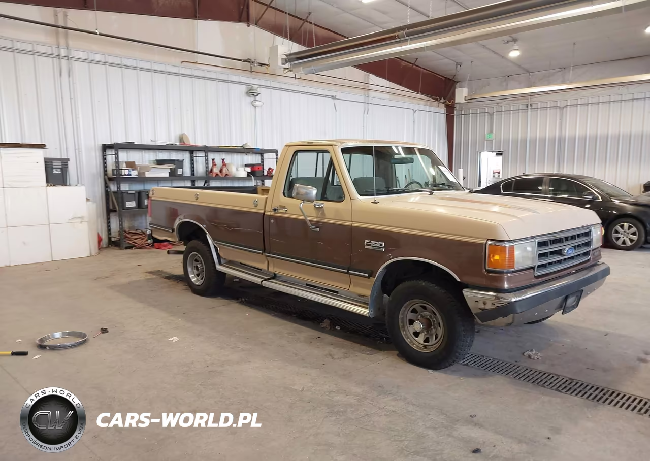 1990 Ford F150 VIN:1FTEF14YXLPA30581 - 1