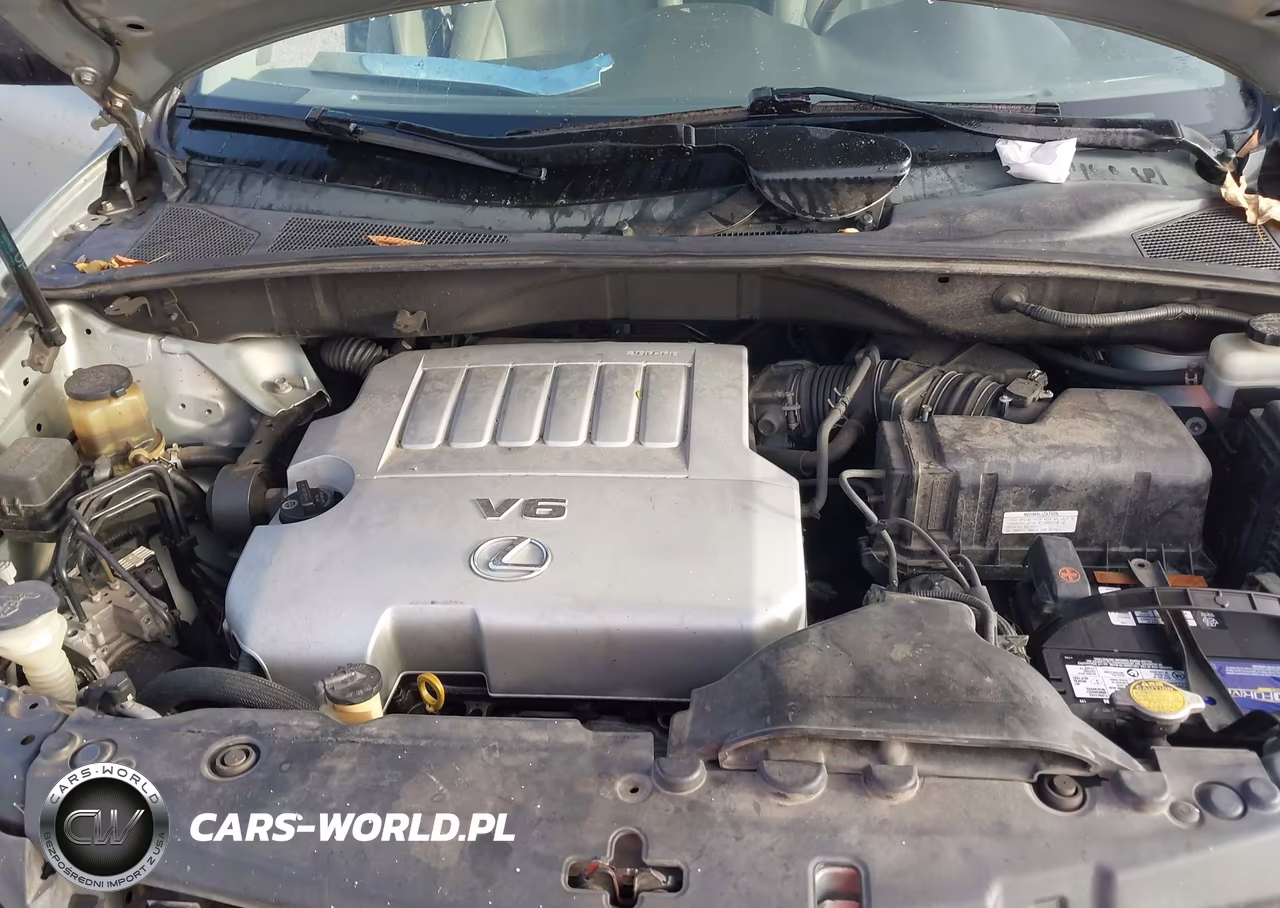 2007 Lexus Rx 350 VIN:2T2HK31U07C015352 - 10