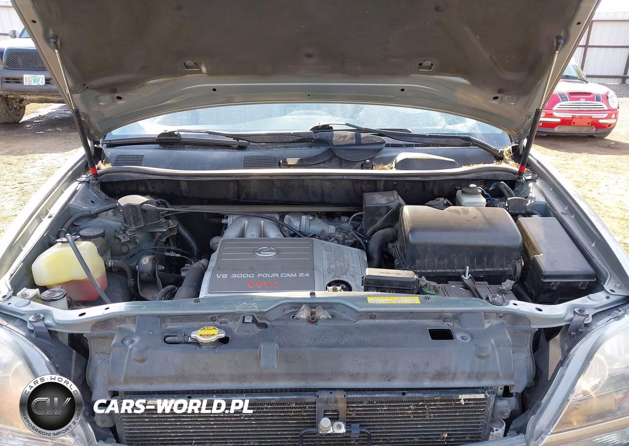 2000 Lexus Rx 300 VIN:JT6HF10U5Y0131616 - 10