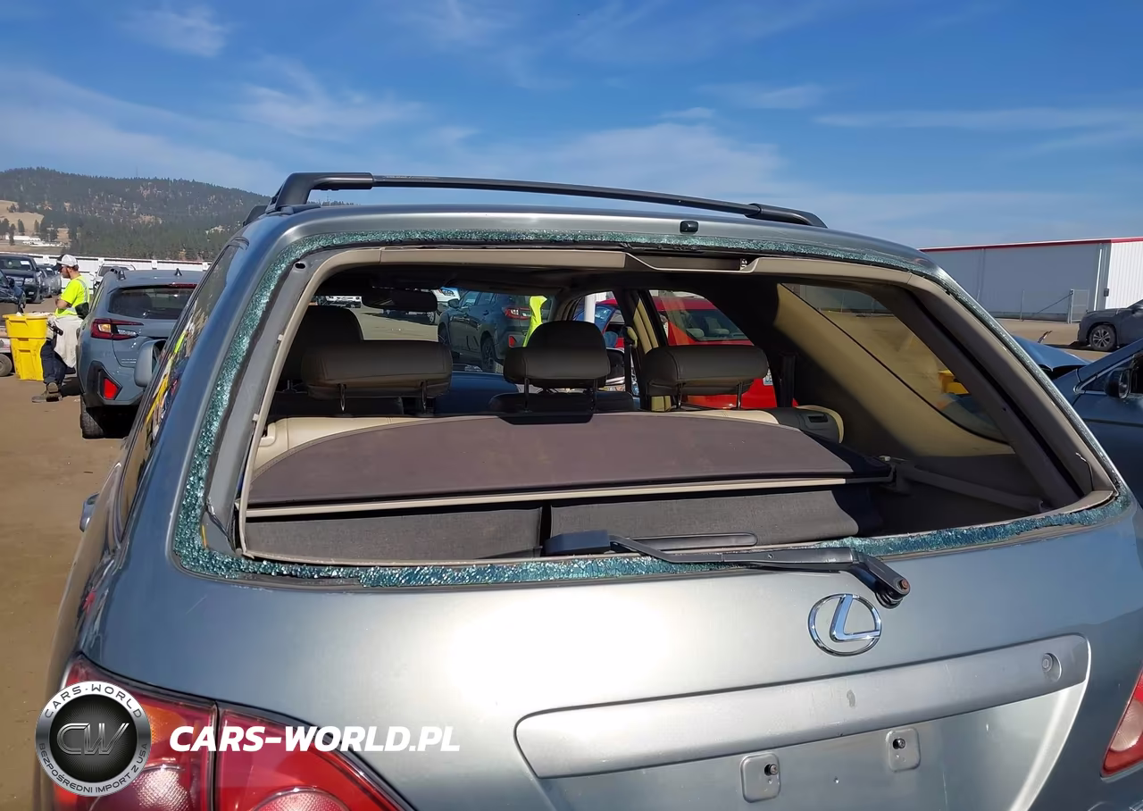 2000 Lexus Rx 300 VIN:JT6HF10U5Y0131616 - 13