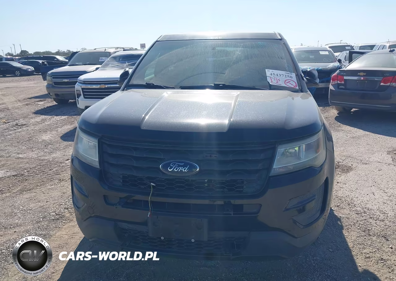2016 Ford Utility Police Interceptor VIN:1FM5K8AR3GGD30790 - 6
