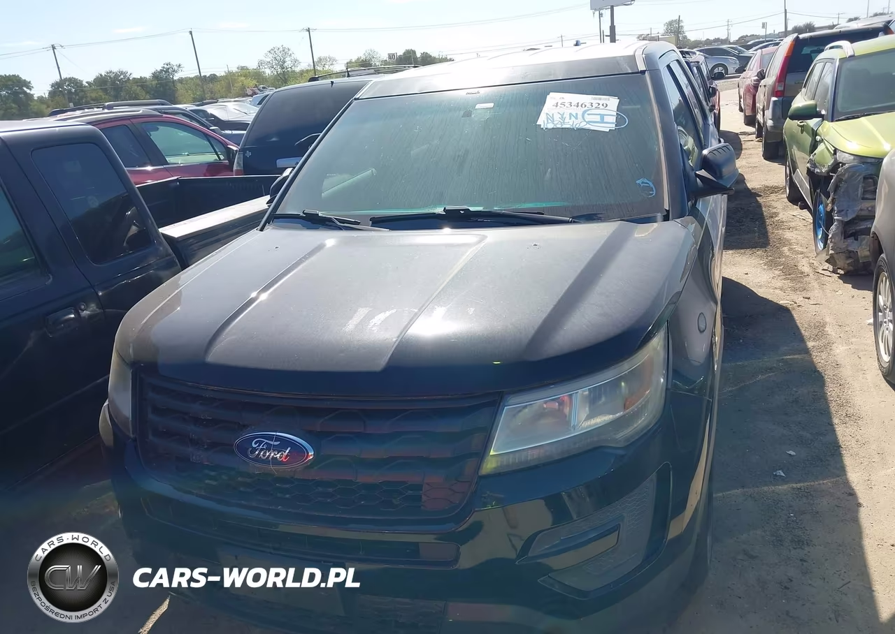 2016 Ford Utility Police Interceptor VIN:1FM5K8ARXGGD16448 - 12