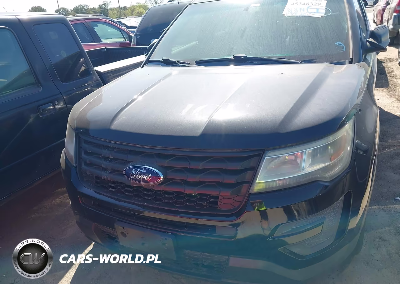 2016 Ford Utility Police Interceptor VIN:1FM5K8ARXGGD16448 - 6