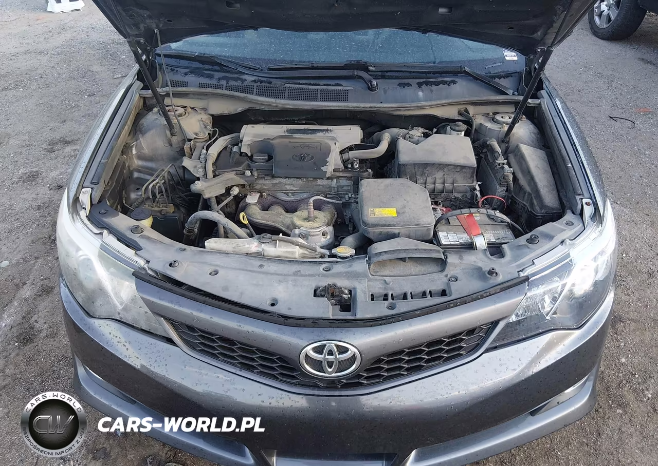 2013 Toyota Camry Se VIN:4T1BF1FK1DU287929 - 10