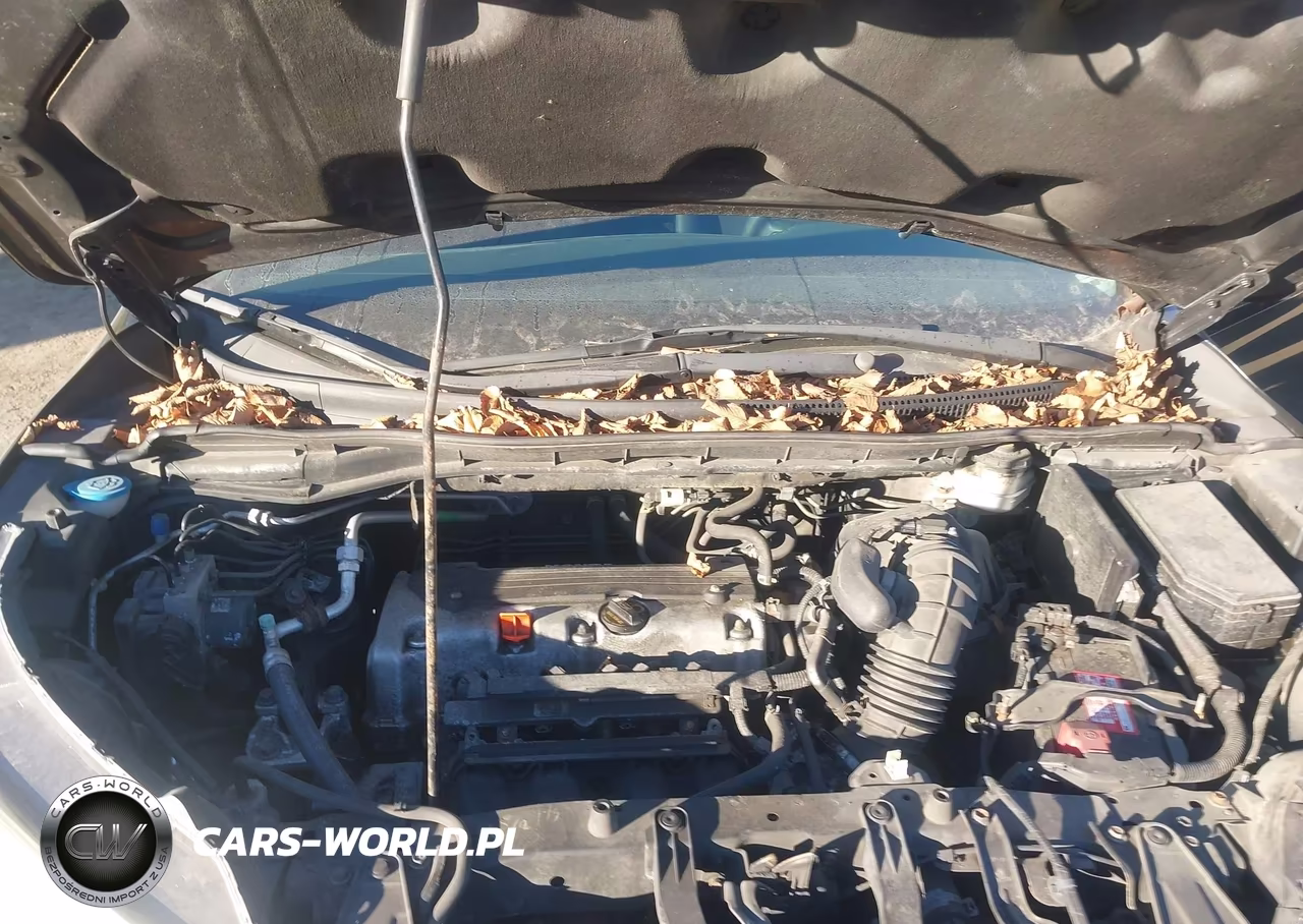 2014 Honda Cr-V Lx VIN:2HKRM4H34EH639414 - 10