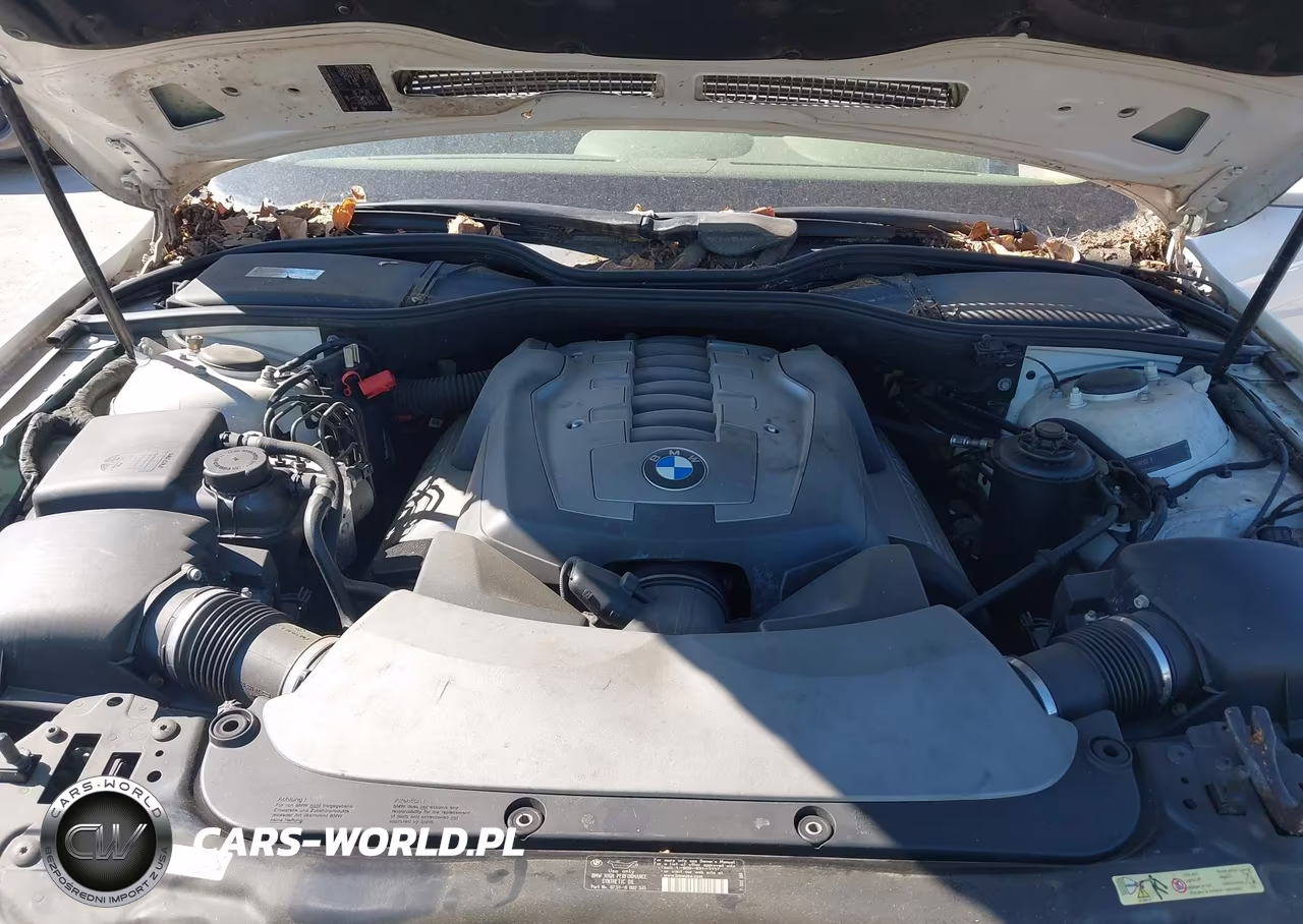 2006 BMW 750Li VIN:WBAHN83586DT26900 - 10