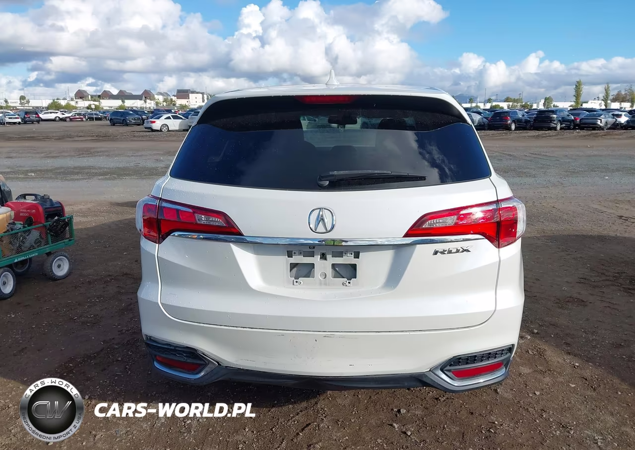 2017 Acura Rdx Acurawatch Plus Package VIN:5J8TB3H32HL010032 - 16
