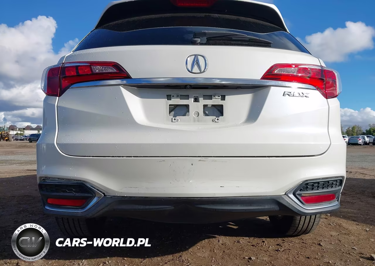 2017 Acura Rdx Acurawatch Plus Package VIN:5J8TB3H32HL010032 - 17