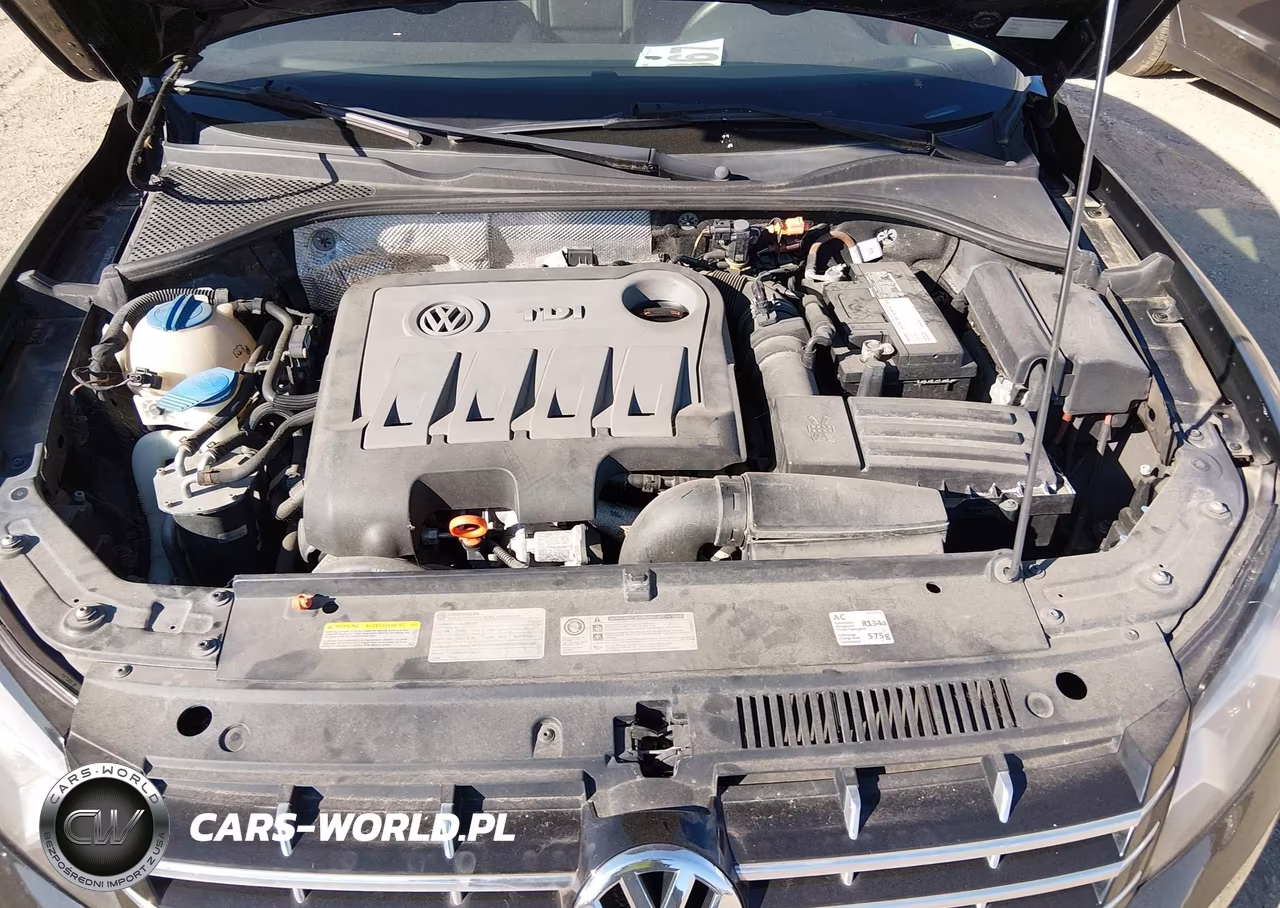 2013 Volkswagen Passat 2.0L Tdi Sel Premium VIN:1VWCN7A33DC010393 - 10