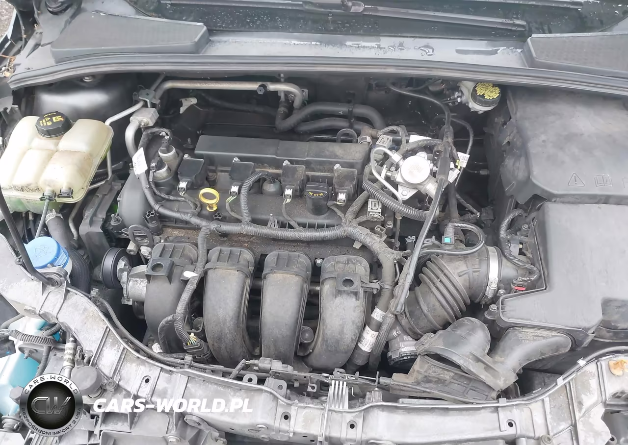 2016 Ford Focus Titanium VIN:1FADP3N29GL405636 - 10
