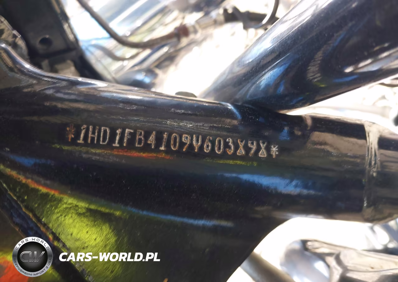 2009 Harley-Davidson Flhr VIN:1HD1FB4109Y603898 - 10