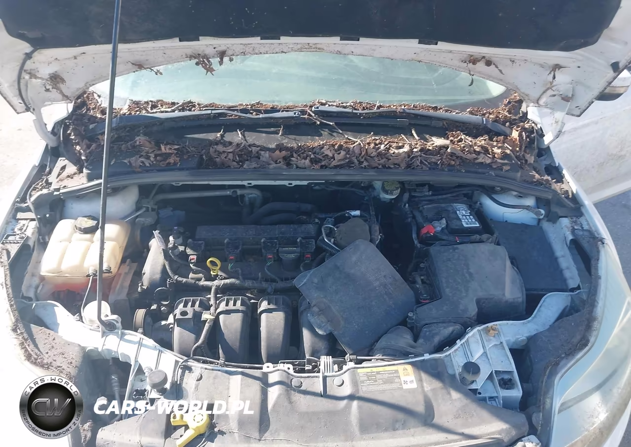 2014 Ford Focus Se VIN:1FADP3K22EL161667 - 10