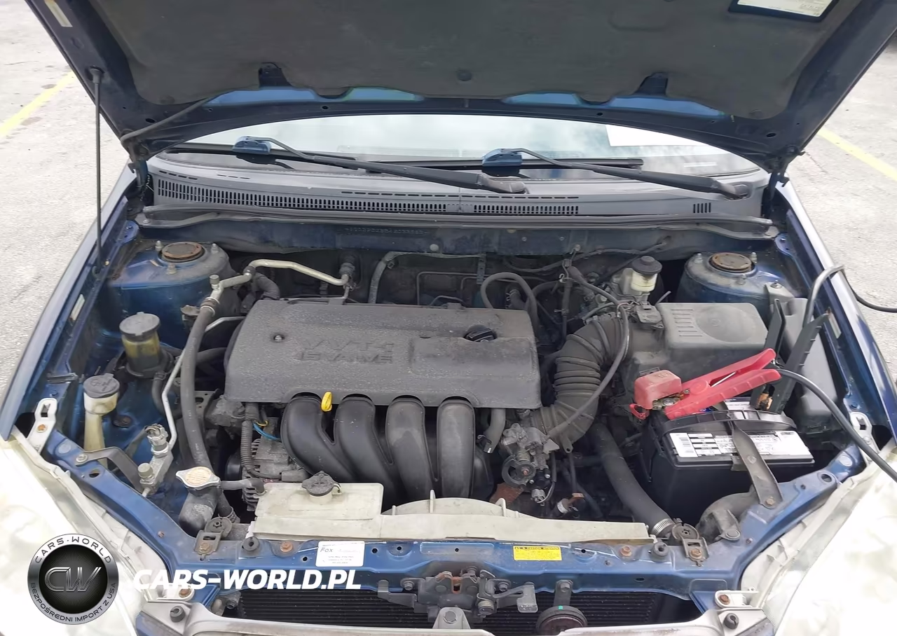 2004 Toyota Corolla Ce VIN:JTDBR32E342033982 - 10