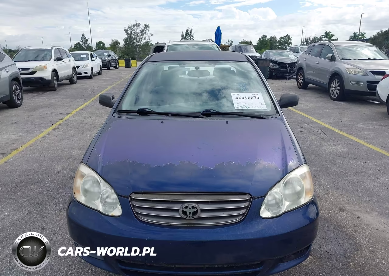 2004 Toyota Corolla Ce VIN:JTDBR32E342033982 - 6
