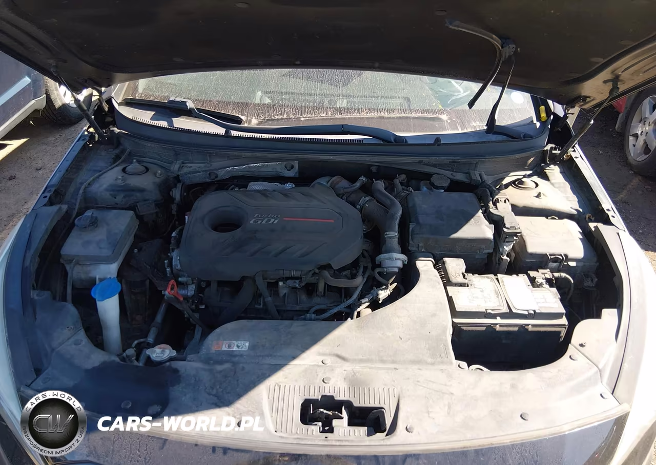 2017 Hyundai Sonata Sport 2.0T VIN:5NPE34AB2HH543871 - 10
