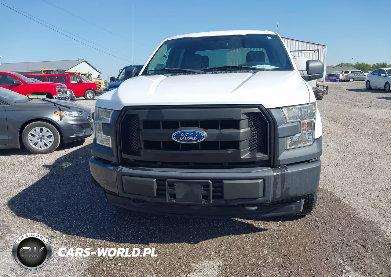 2017 Ford F-150 Xl VIN:1FTEW1E88HKD49576 - 12