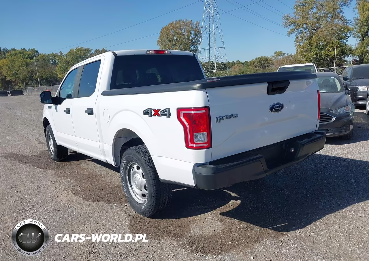 2017 Ford F-150 Xl VIN:1FTEW1E88HKD49576 - 3