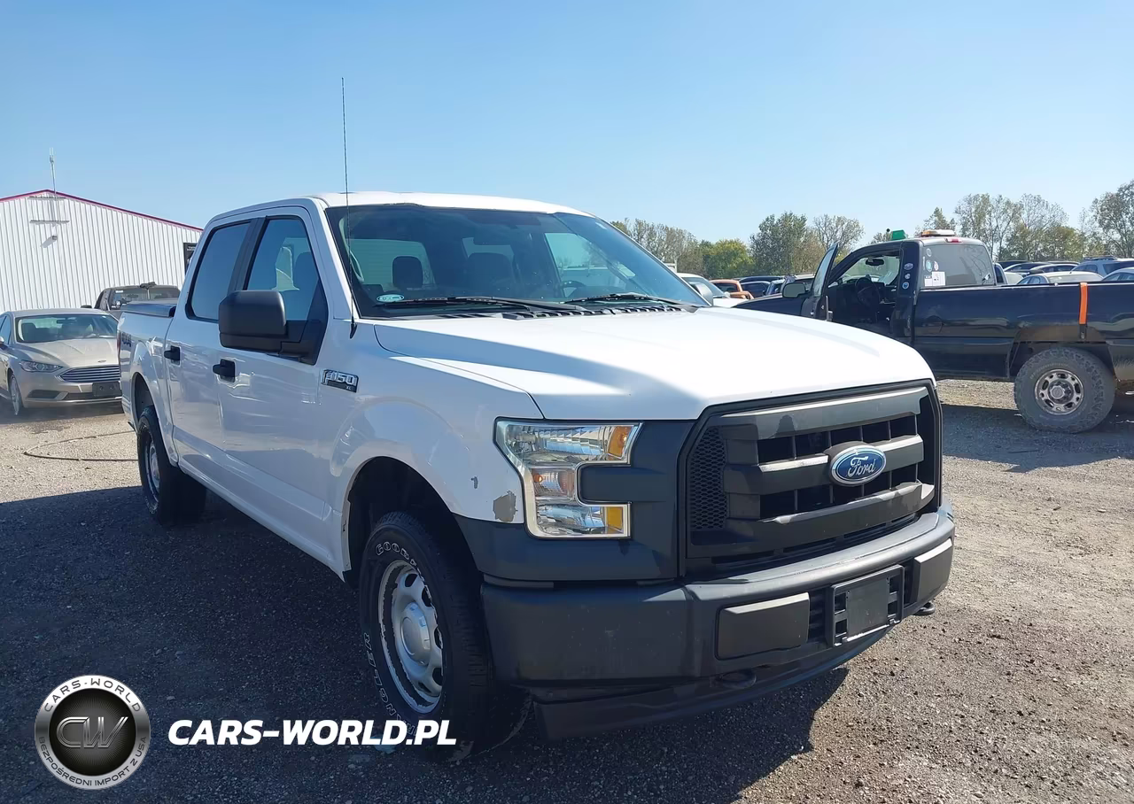 2017 Ford F-150 Xl VIN:1FTEW1E88HKD49576 - 6