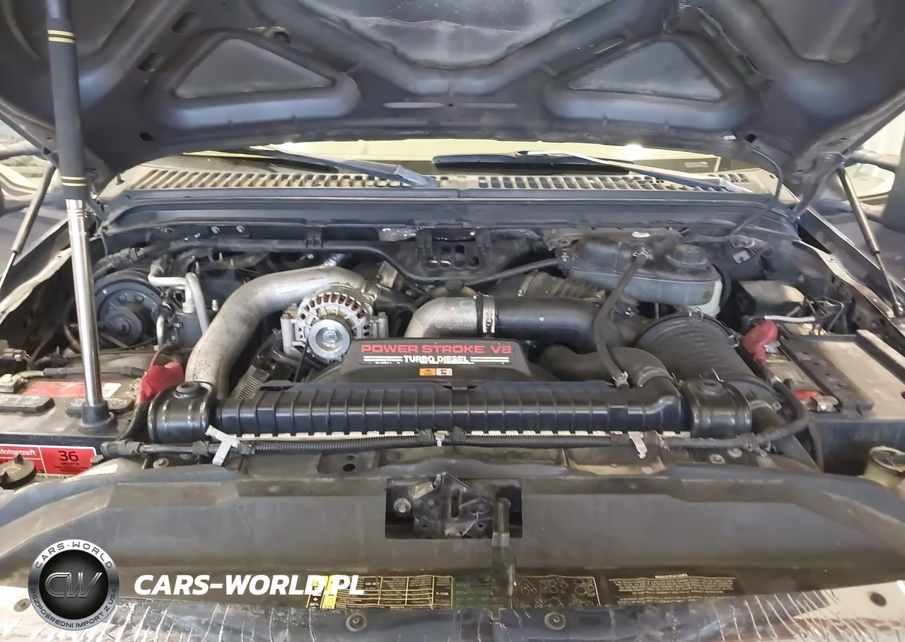 2006 Ford F-250 Lariat-Xl-Xlt VIN:1FTSW21PX6EA55484 - 10