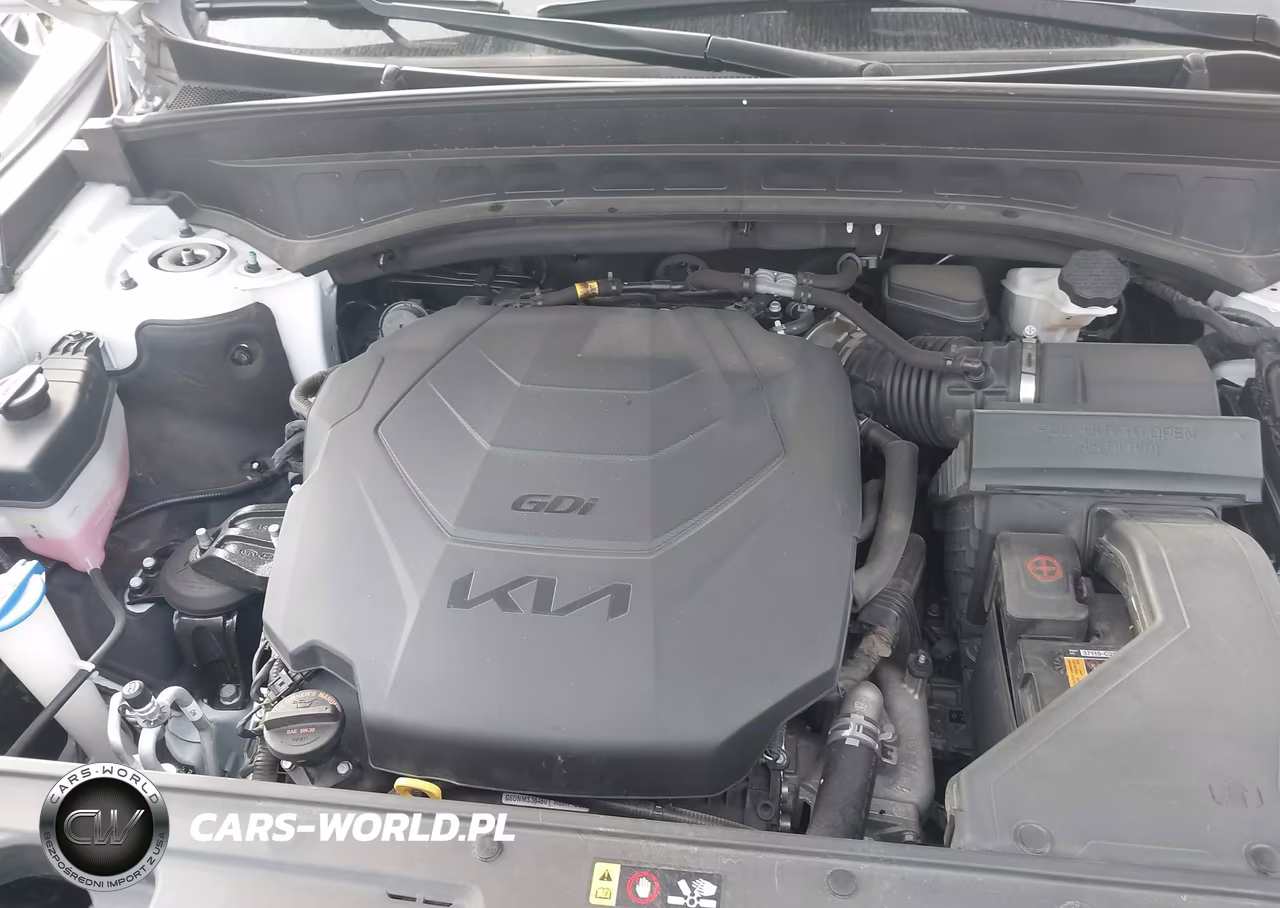 2022 Kia Telluride Ex VIN:5XYP34HC4NG256476 - 10