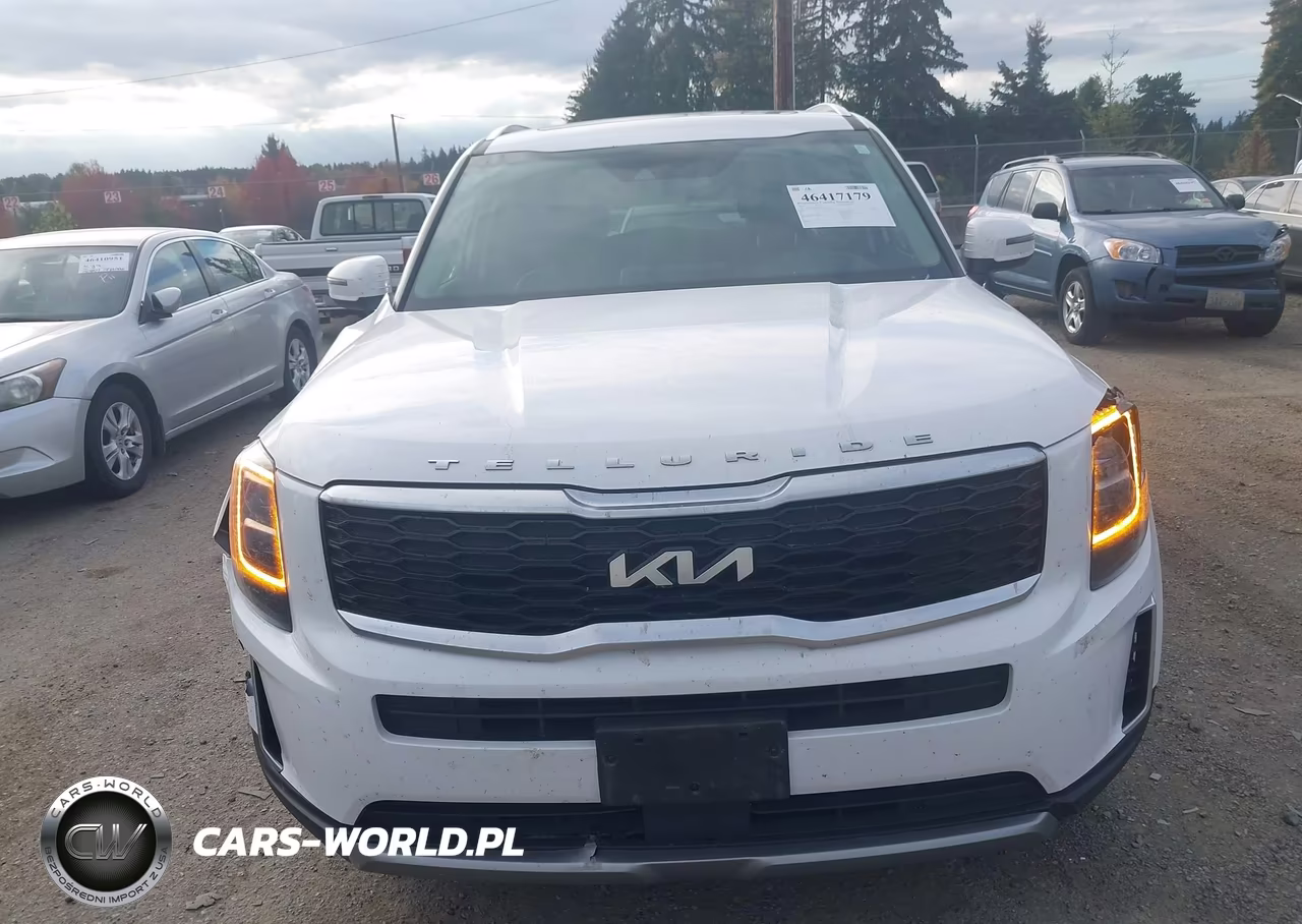 2022 Kia Telluride Ex VIN:5XYP34HC4NG256476 - 12