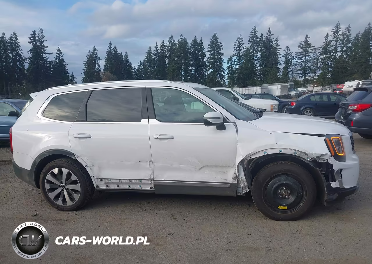 2022 Kia Telluride Ex VIN:5XYP34HC4NG256476 - 13