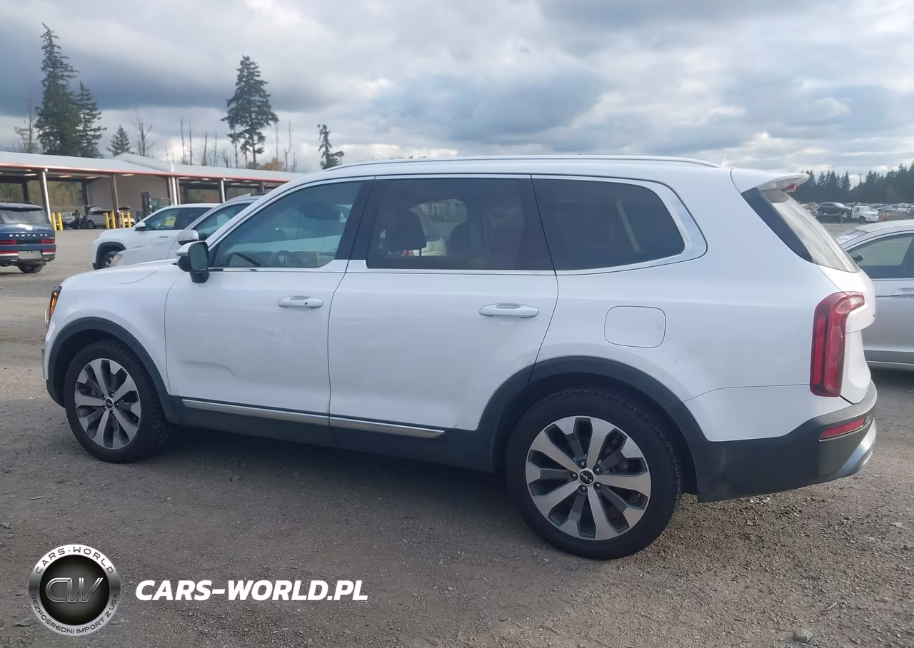 2022 Kia Telluride Ex VIN:5XYP34HC4NG256476 - 14