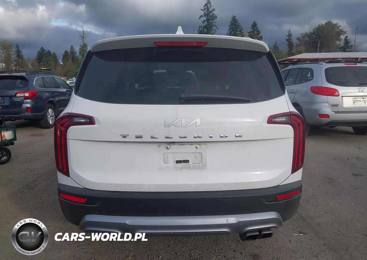 2022 Kia Telluride Ex VIN:5XYP34HC4NG256476 - 16