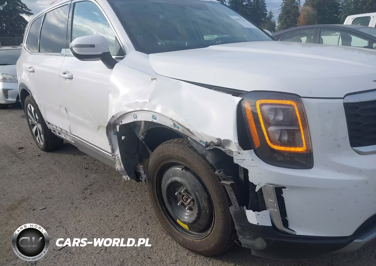 2022 Kia Telluride Ex VIN:5XYP34HC4NG256476 - 19