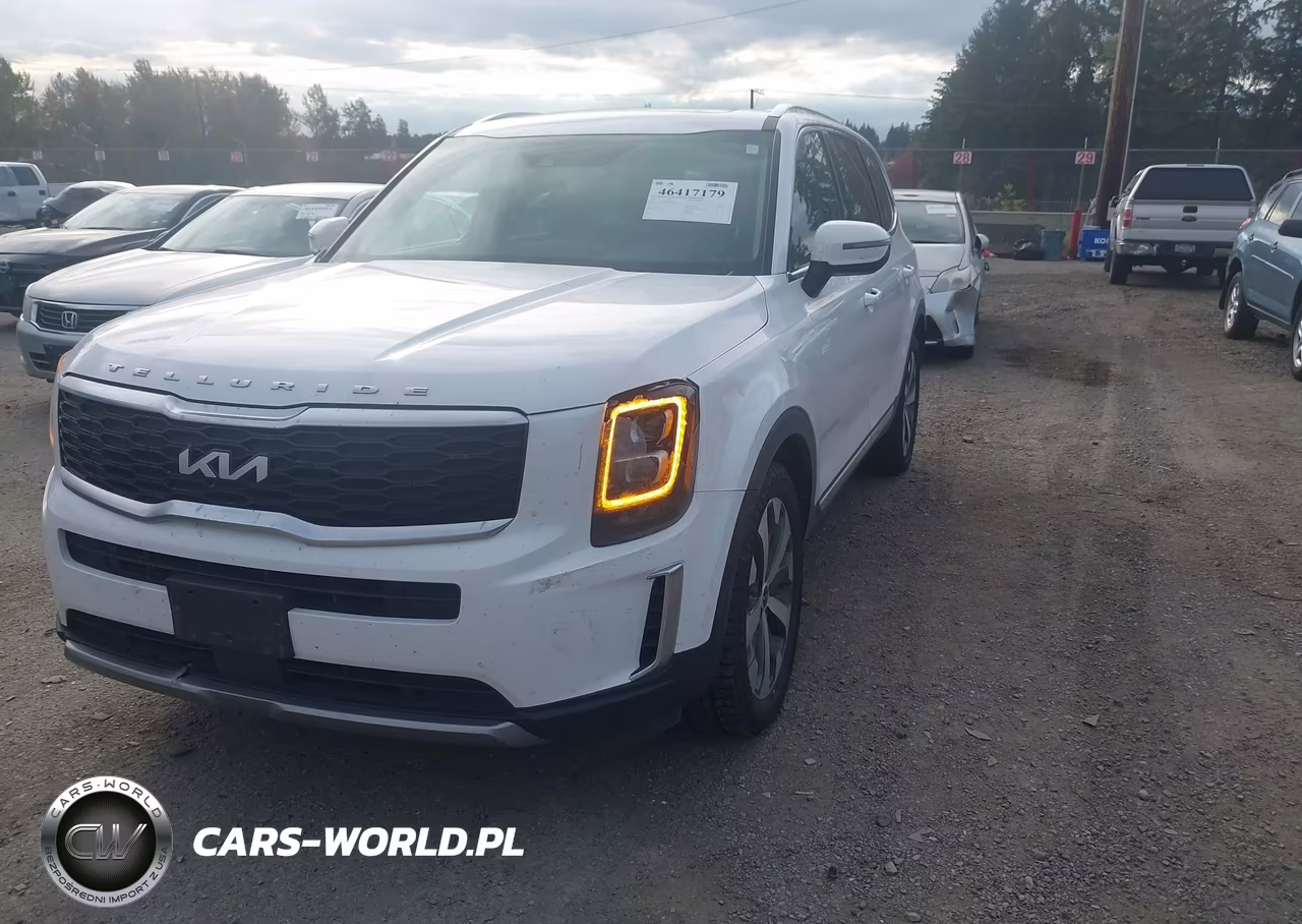 2022 Kia Telluride Ex VIN:5XYP34HC4NG256476 - 2
