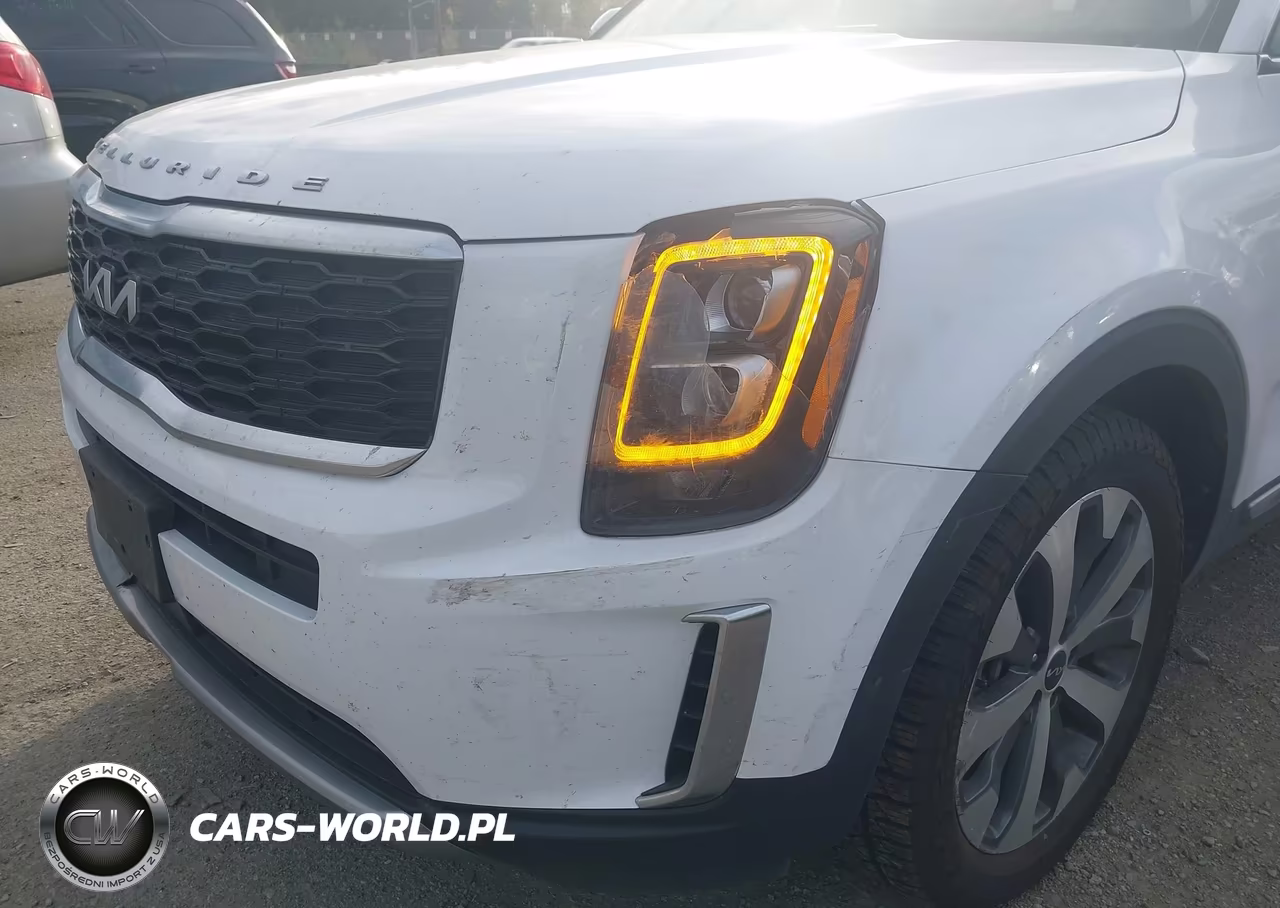 2022 Kia Telluride Ex VIN:5XYP34HC4NG256476 - 20