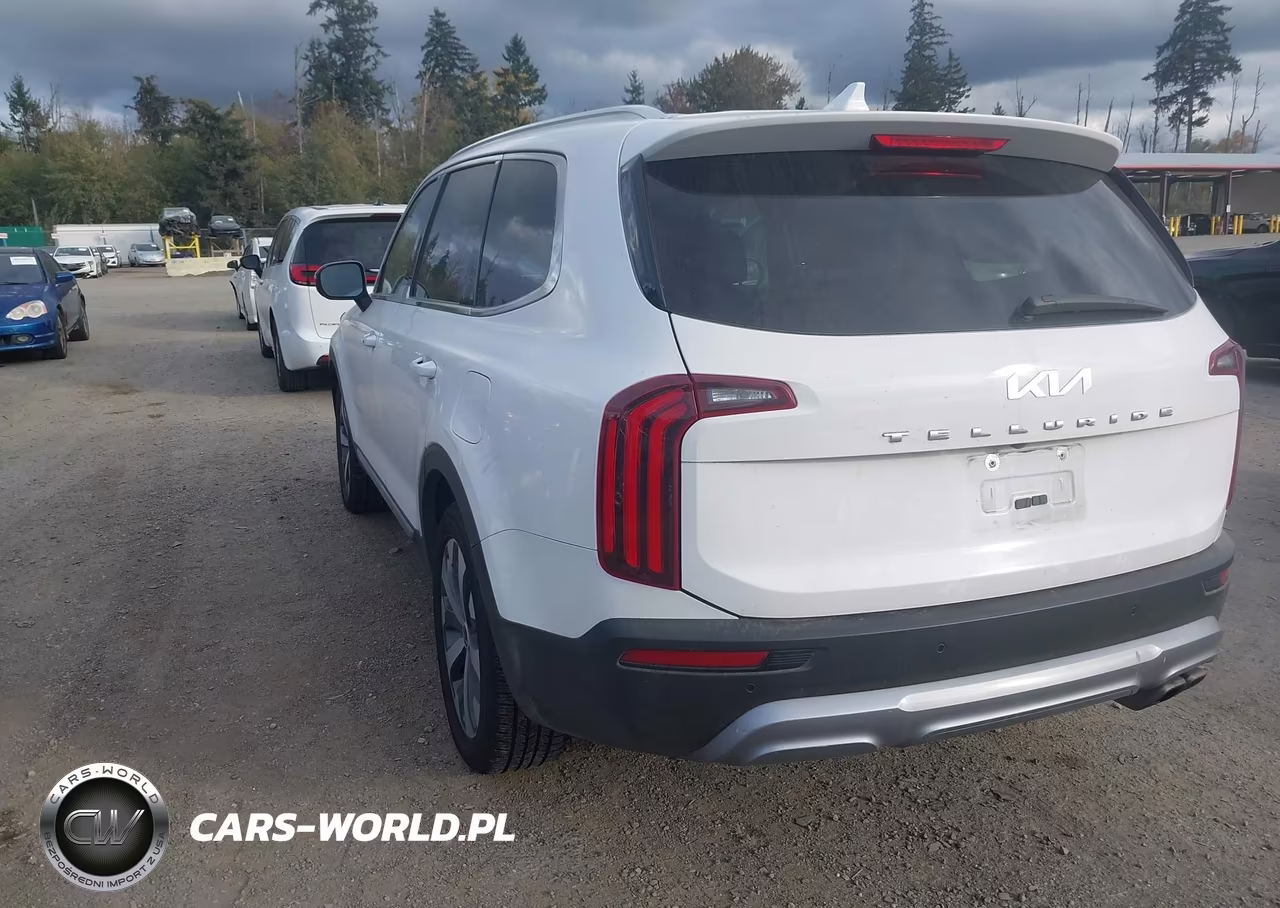 2022 Kia Telluride Ex VIN:5XYP34HC4NG256476 - 3