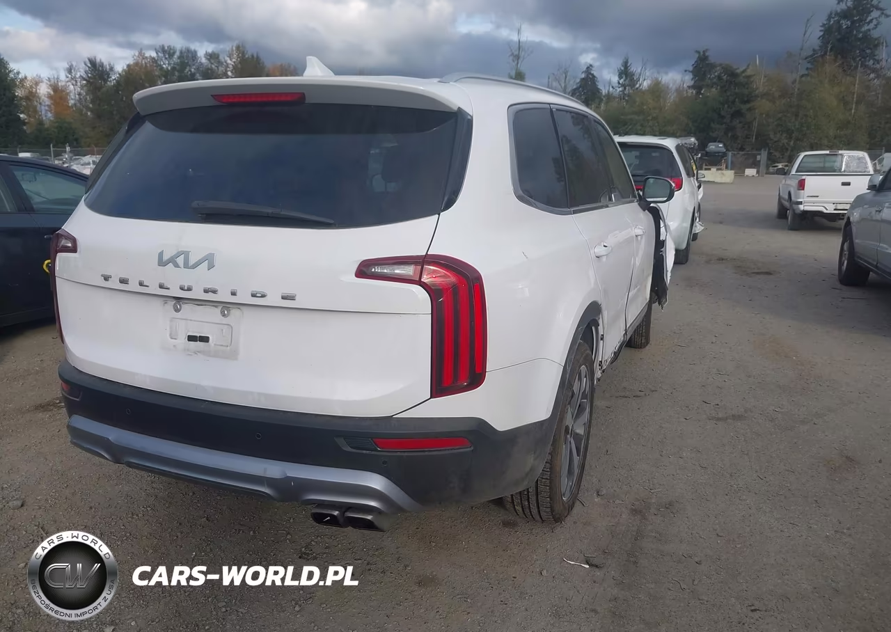 2022 Kia Telluride Ex VIN:5XYP34HC4NG256476 - 4