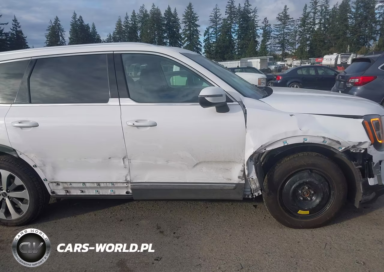 2022 Kia Telluride Ex VIN:5XYP34HC4NG256476 - 6