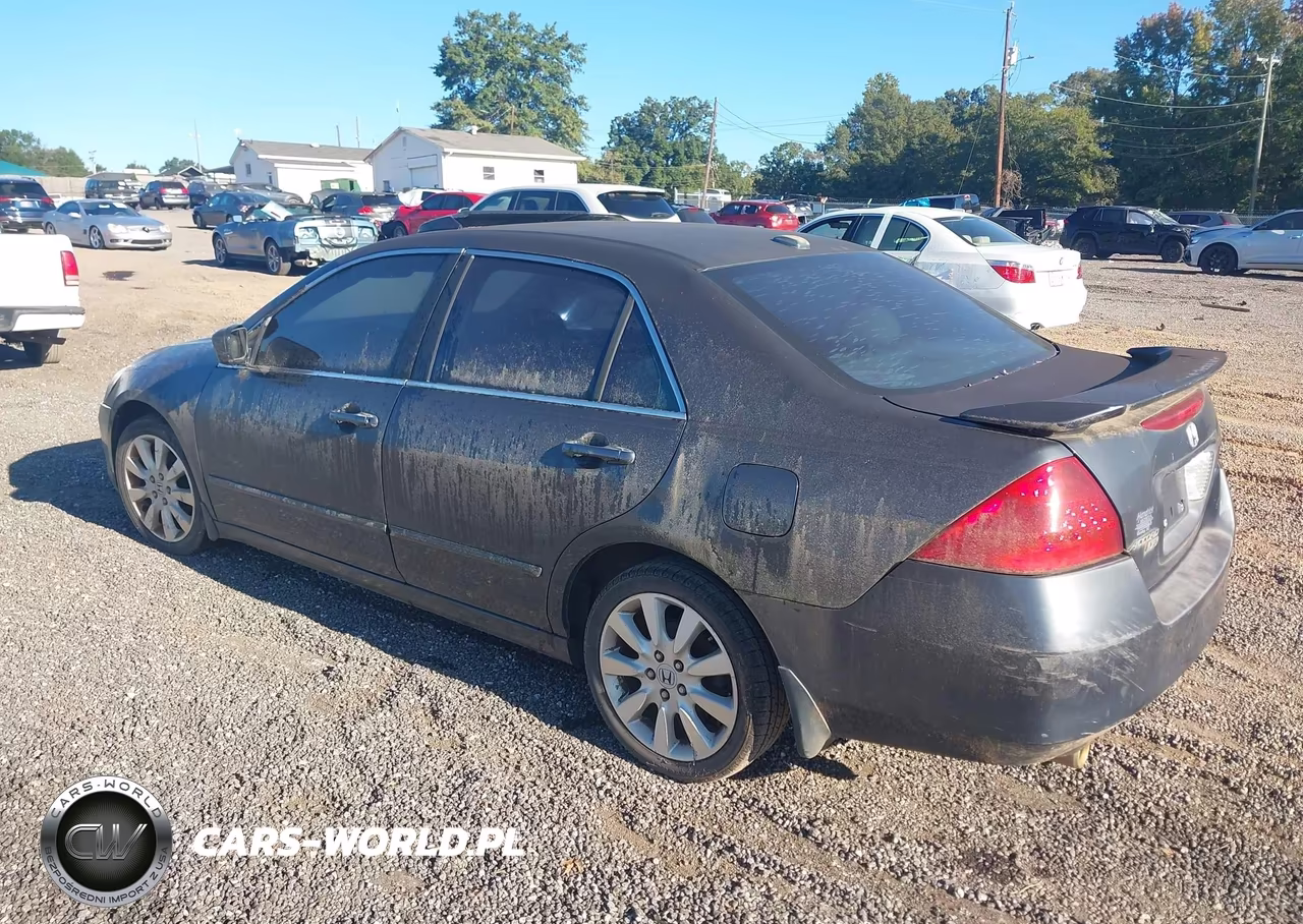 2007 Honda Accord 3.0 Ex VIN:1HGCM66577A036491 - 3
