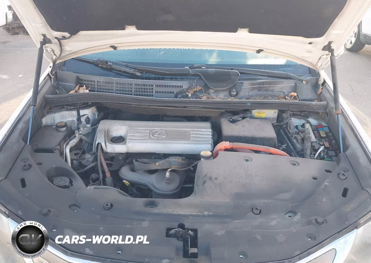 2011 Lexus Hs 250H VIN:JTHBB1BA0B2044486 - 10