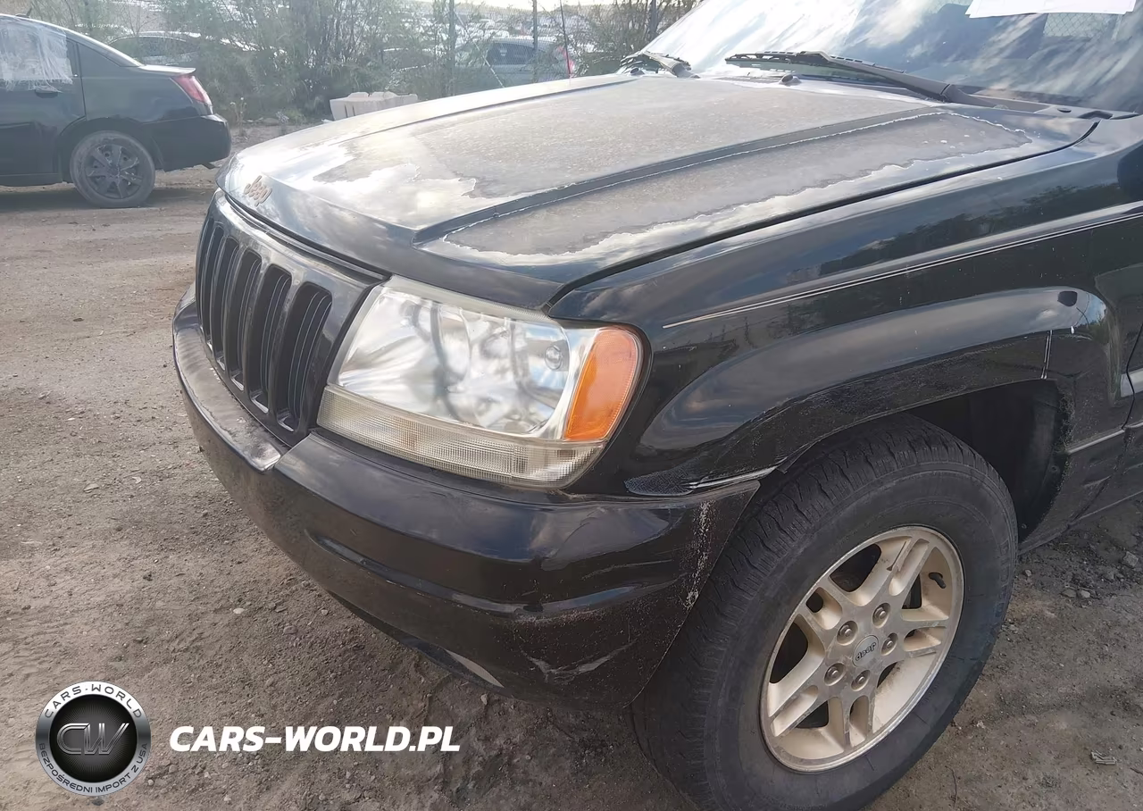 1999 Jeep Grand Cherokee Limited VIN:1J4GW68N5XC808864 - 6