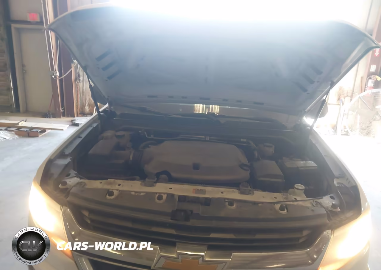 2019 Chevrolet Colorado Wt VIN:1GCGSBEN6K1318145 - 10