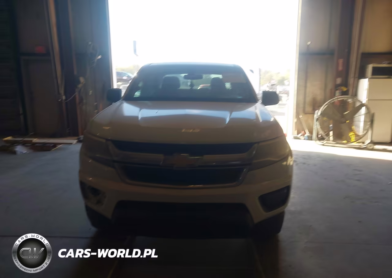 2019 Chevrolet Colorado Wt VIN:1GCGSBEN6K1318145 - 12