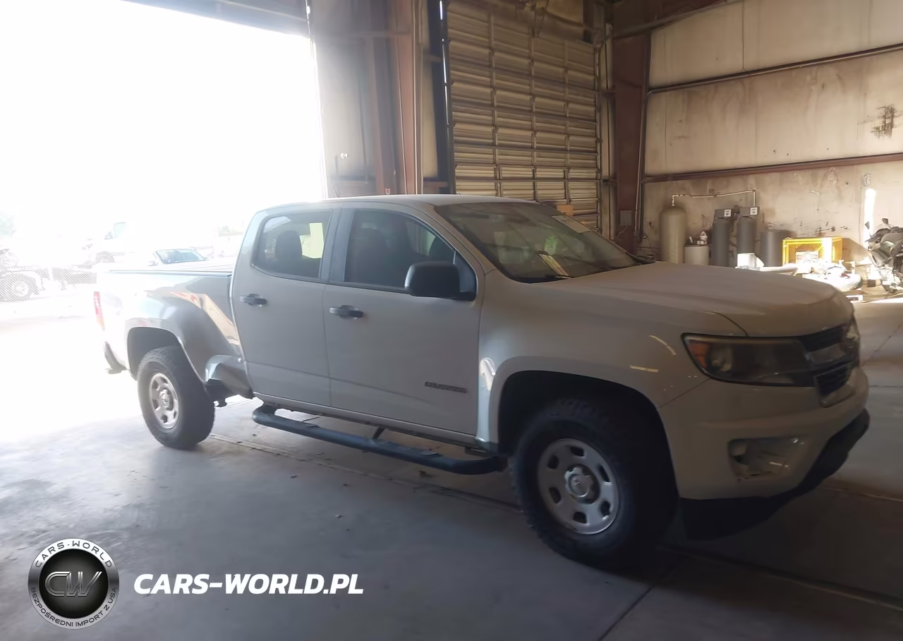 2019 Chevrolet Colorado Wt VIN:1GCGSBEN6K1318145 - 13