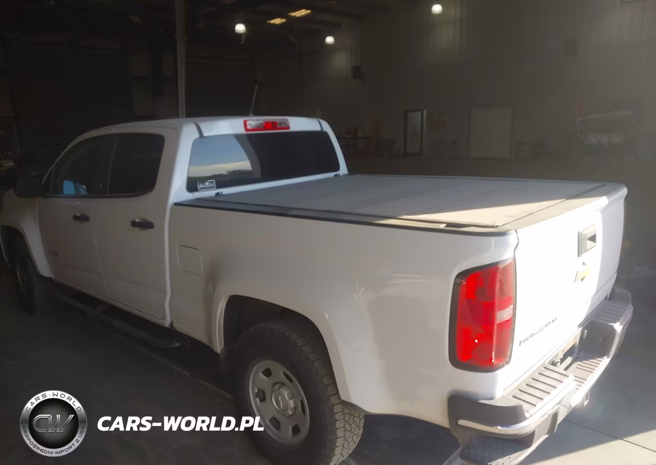 2019 Chevrolet Colorado Wt VIN:1GCGSBEN6K1318145 - 3