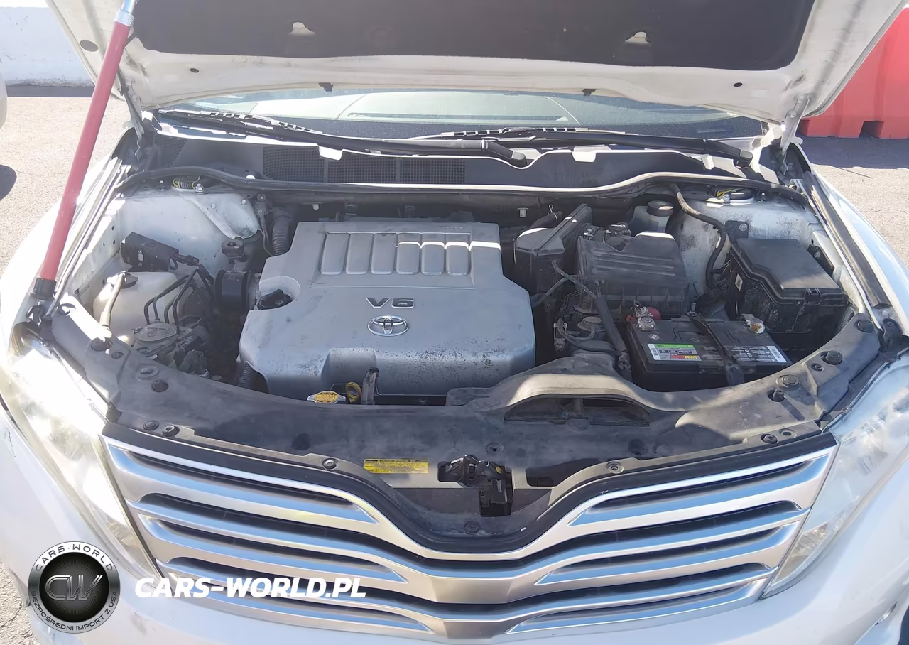 2009 Toyota Venza Base V6 VIN:4T3ZK11A59U010711 - 10