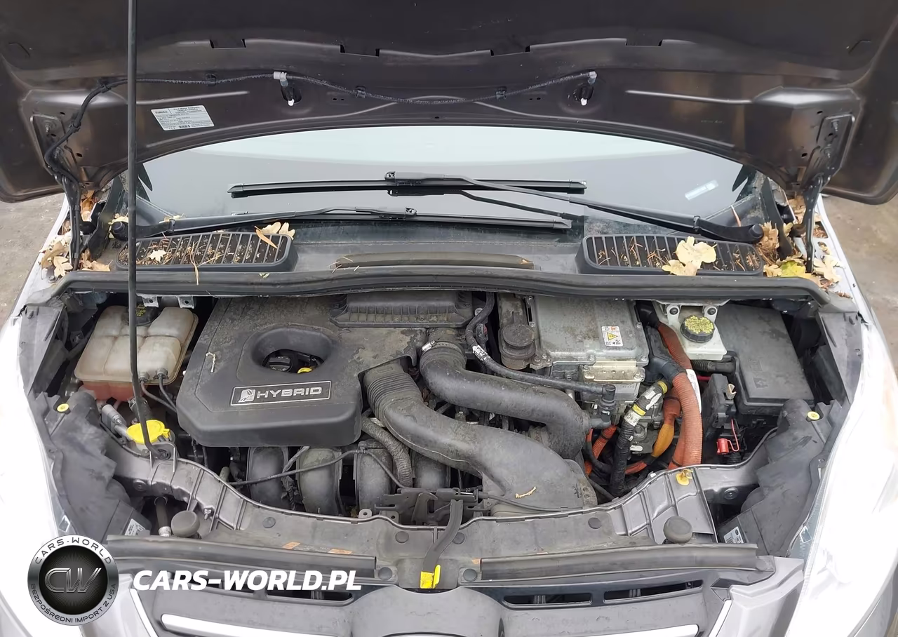 2014 Ford C-Max Hybrid Se VIN:1FADP5AU6EL511655 - 10