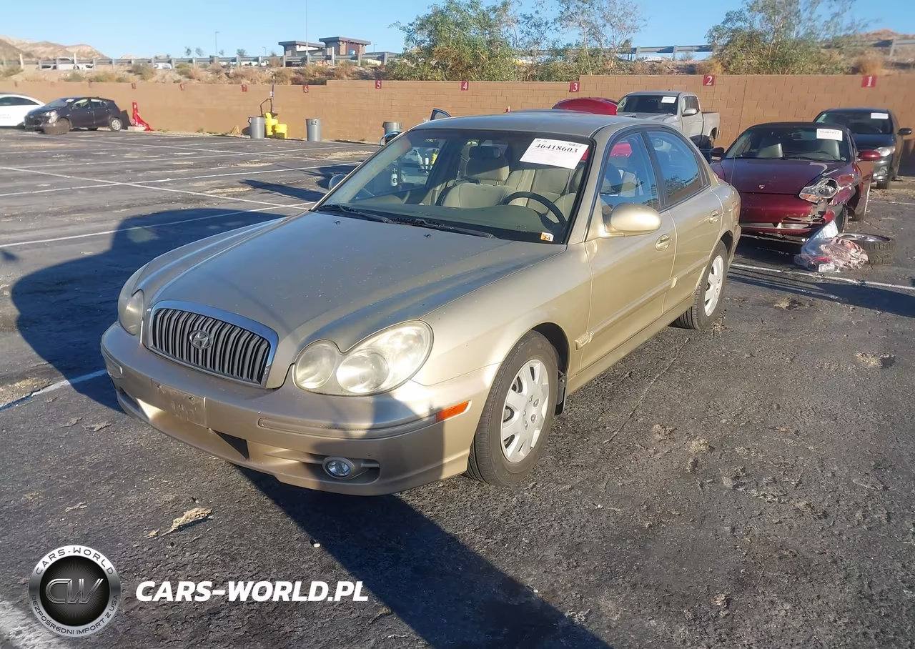2003 Hyundai Sonata VIN:KMHWF25S23A731814 - 2