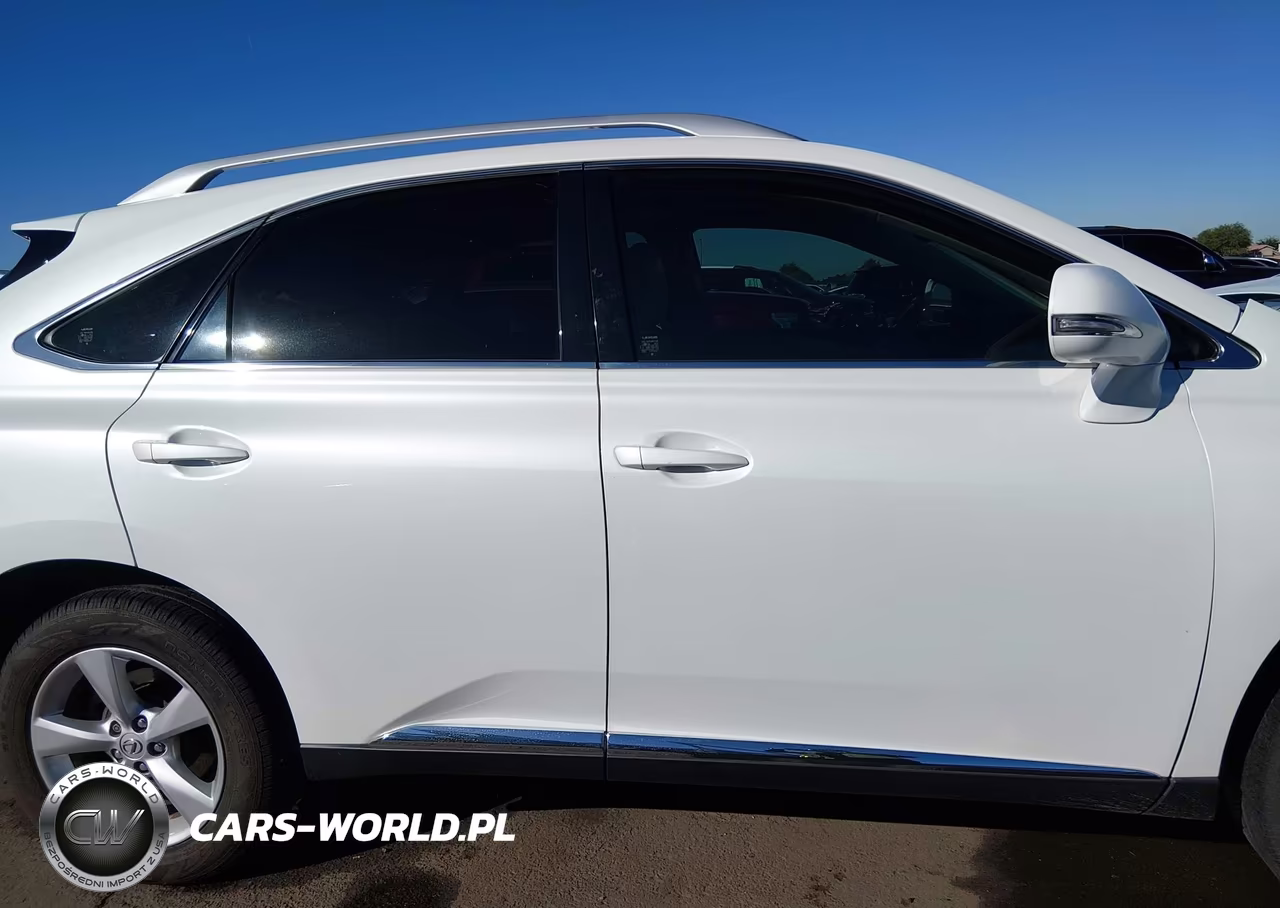 2010 Lexus Rx 350 VIN:JTJZK1BA1A2001951 - 14