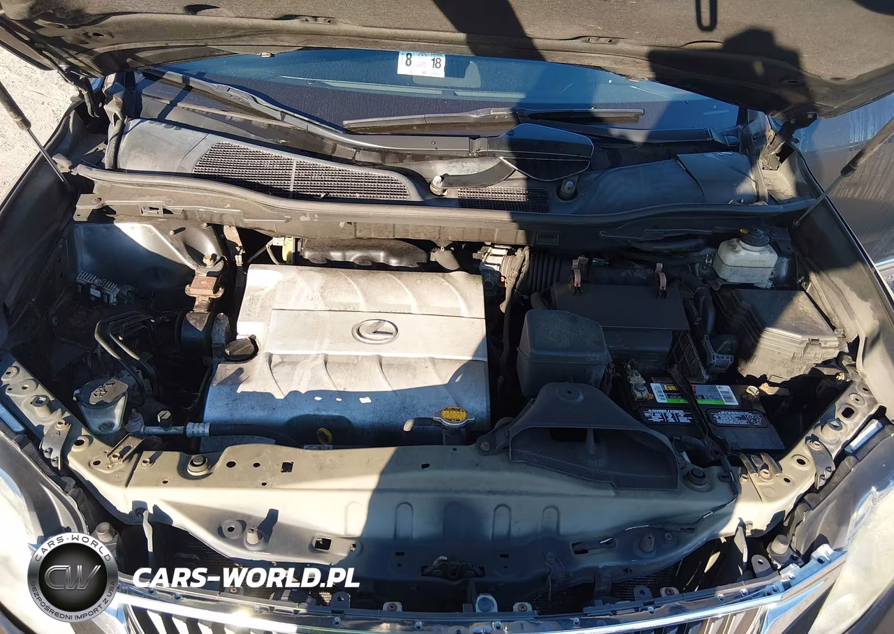 2010 Lexus Rx 350 VIN:2T2BK1BA0AC017401 - 10