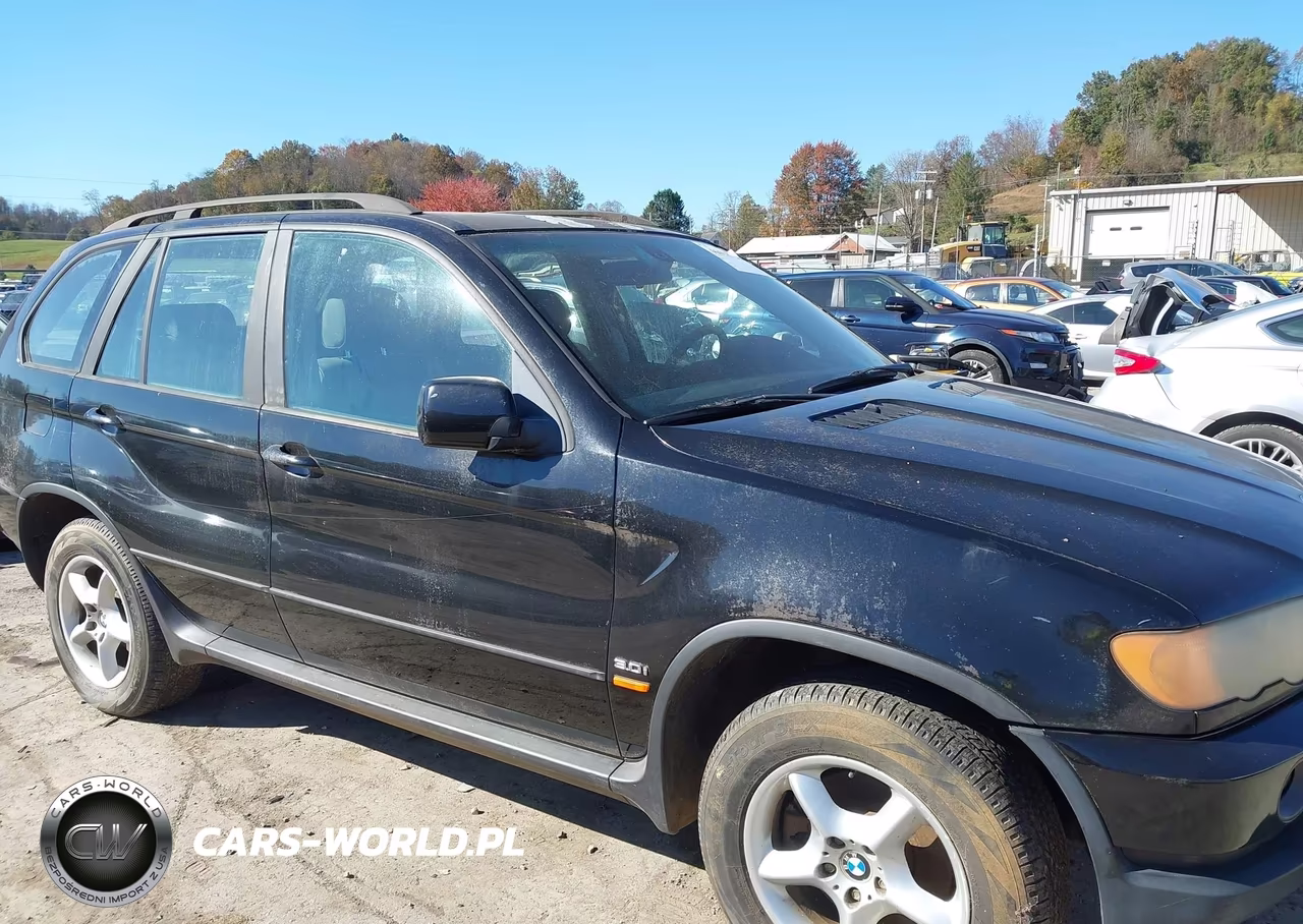 2002 BMW X5 3.0I VIN:5UXFA53582LP51889 - 12